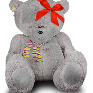 Teddy bear PNG