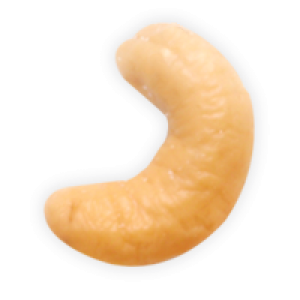 Cashew nut PNG
