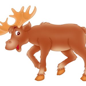 Moose, elk PNG