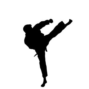 Karate siluete PNG