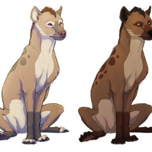 Hyena PNG