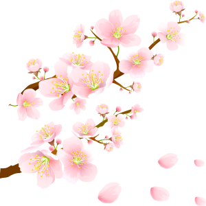 Sakura PNG