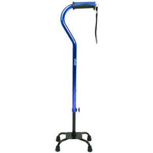 Walking stick PNG