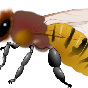 Bee PNG