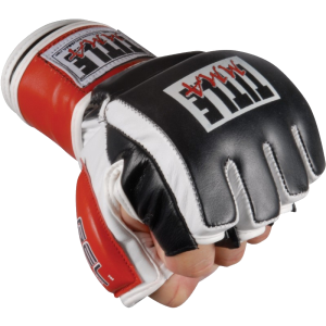 Mixed martial arts PNG, MMA PNG