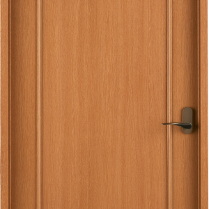 Door PNG