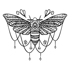 Moth PNG