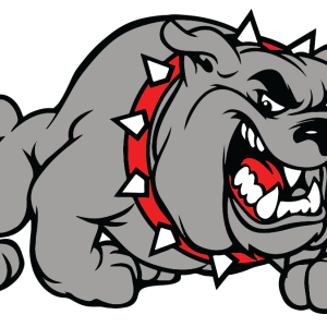 Bulldog PNG picture
