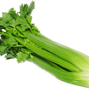Celery PNG