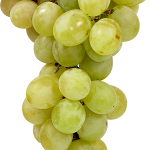 Green grape PNG image