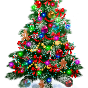 Christmas tree PNG