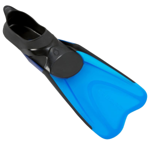 Flippers PNG
