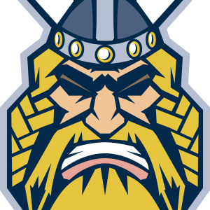 Viking PNG
