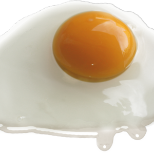 Fried egg PNG