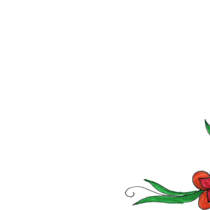 Floral frame PNG