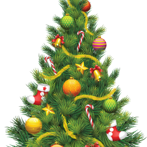 Christmas tree PNG