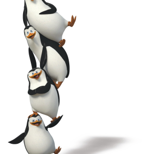 Madagascar penguins PNG
