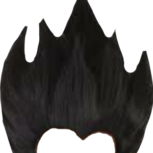 Hair wig PNG