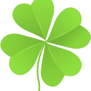 Shamrock PNG