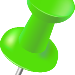 Pin PNG