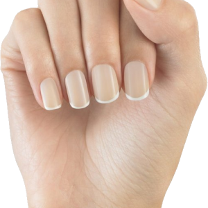 Nails PNG