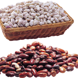 Kidney beans PNG