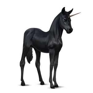 Unicorn PNG
