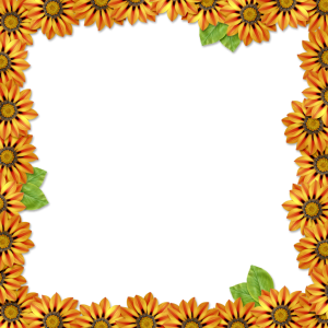 Floral frame PNG