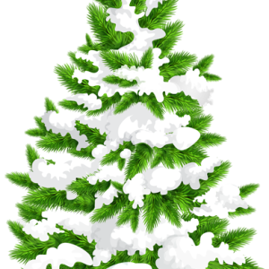 Winter PNG