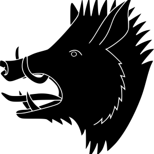 Boar PNG