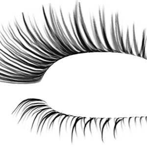Eyelash PNG