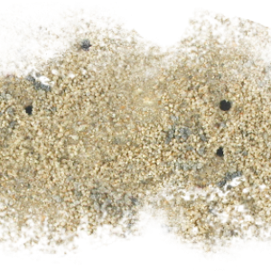 Sand PNG