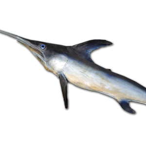 Swordfish PNG