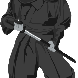 Ninja PNG