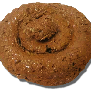 Poop PNG