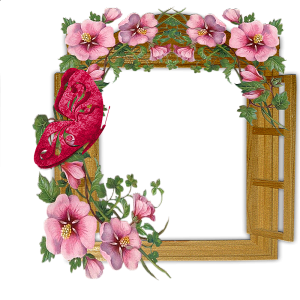 Picture, photo frame PNG