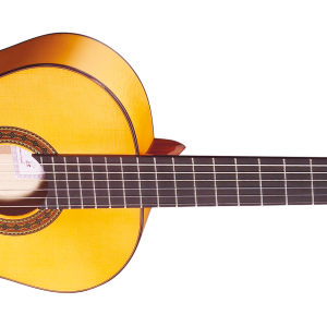 Acoustic guitar PNG image