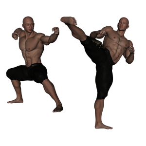 Kickboxing PNG