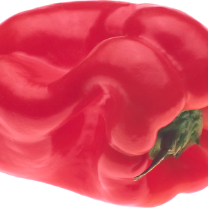 Red pepper PNG image