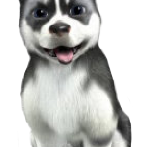 Husky PNG