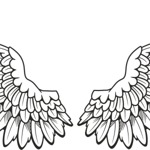 Wings PNG