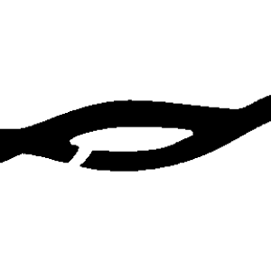Barbwire PNG