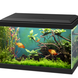 Aquarium PNG