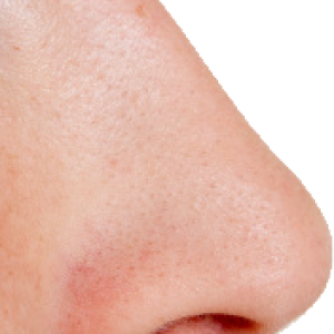 Human nose PNG