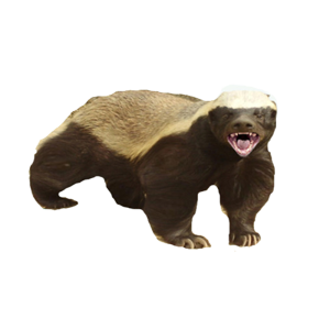 Badger PNG