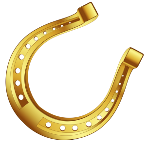 Horseshoe PNG
