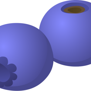 Blueberries PNG