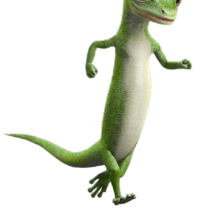 Gecko PNG