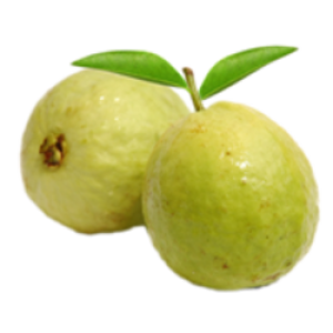 Guava PNG