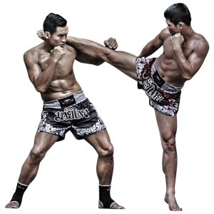 Muay Thai PNG
